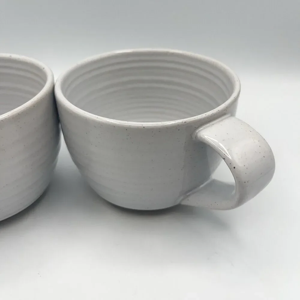 Pottery Barn Mugs - Set Of 2